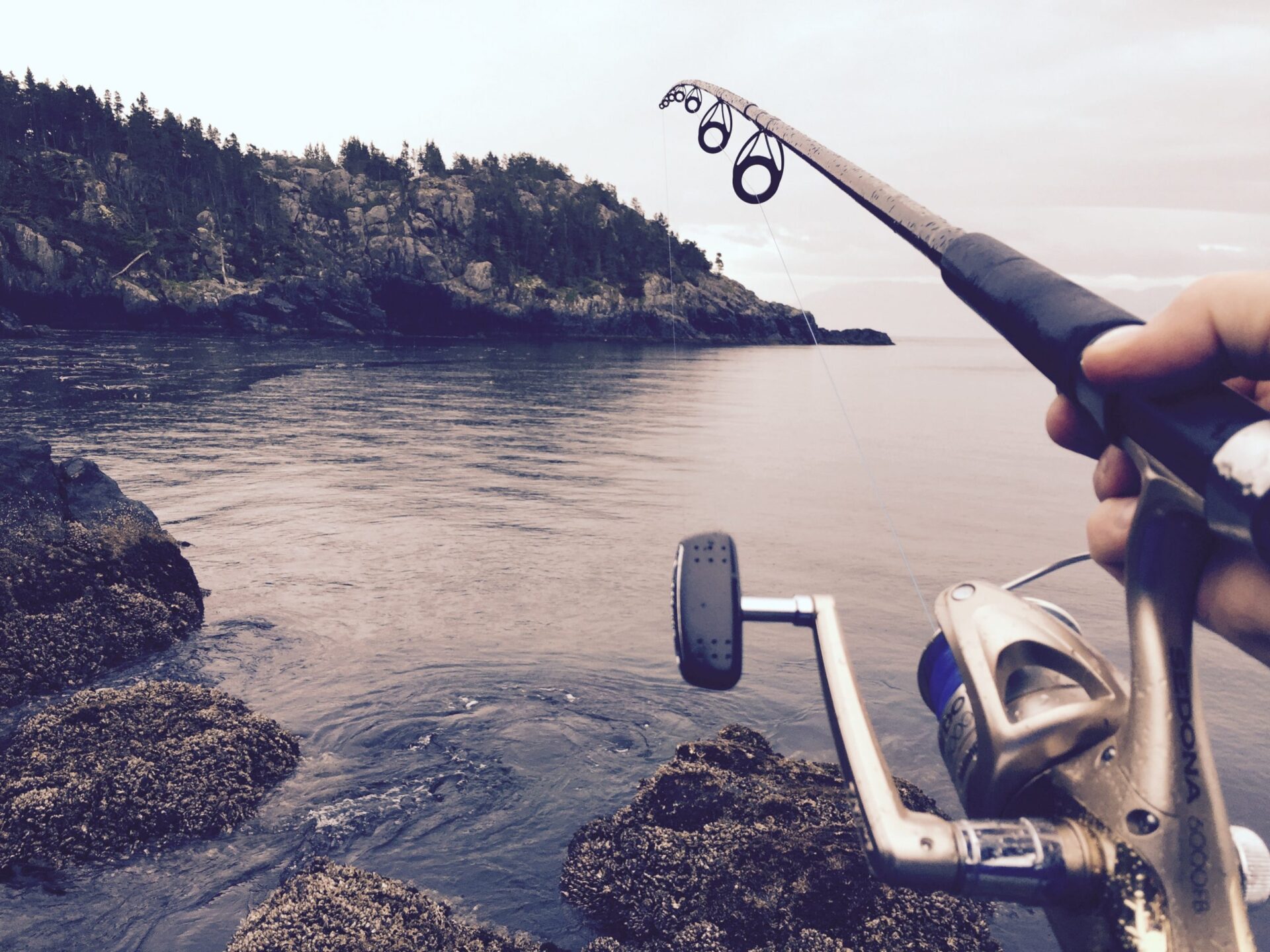 Understanding the Basics of Fishing Rod Blanks - In-Fisherman