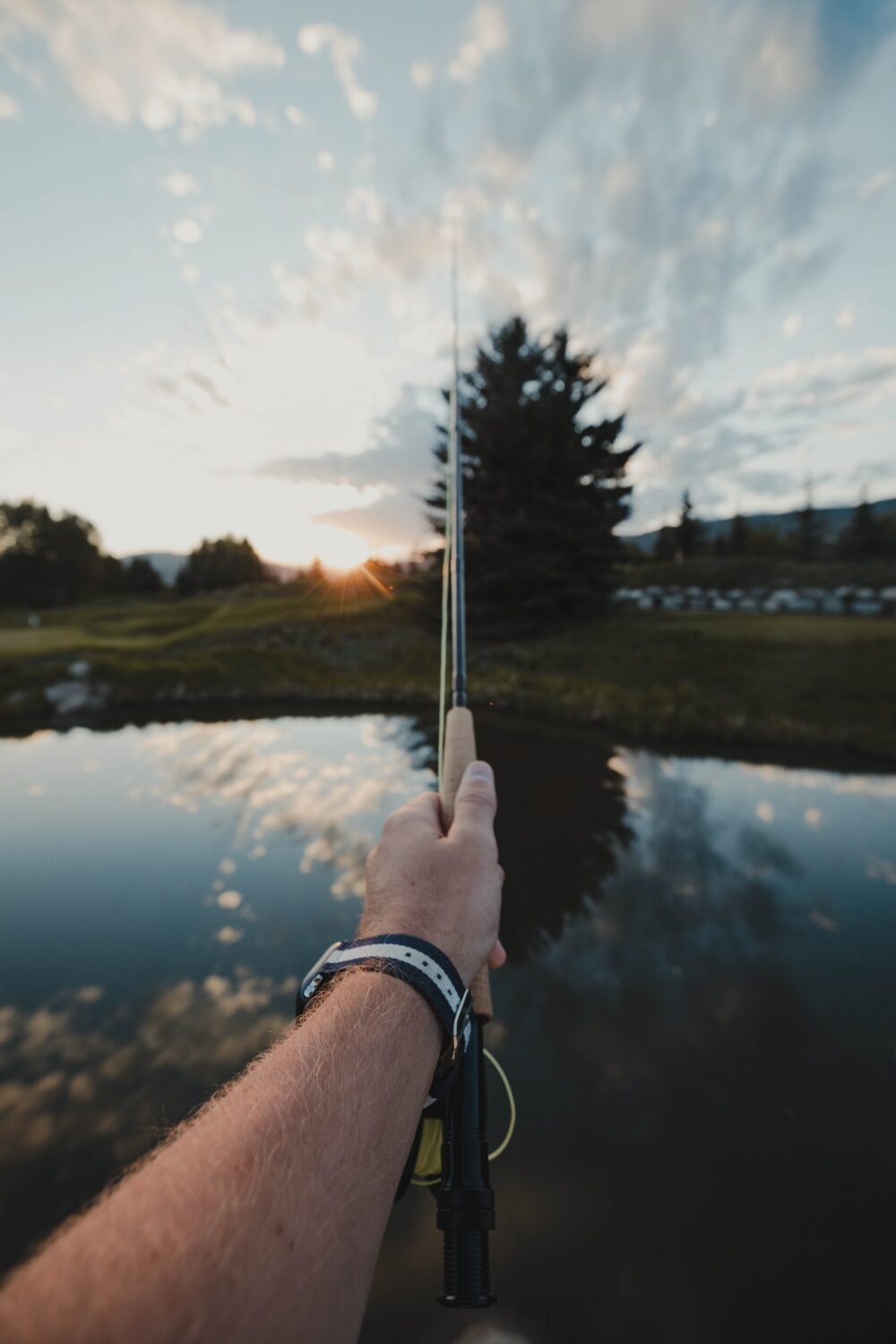 Buying A Used Fishing Rod: What You Need to Know 
