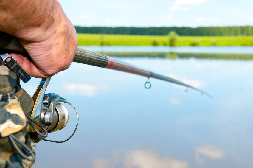 5 Decorative Designs for Your New Fishing Rod 